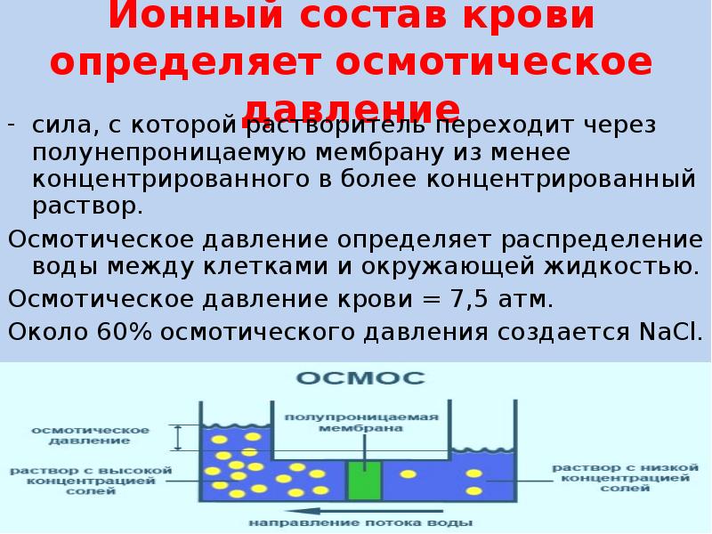 Ионные растворы. Осмотическое давление крови физиология. Осмотическое давление крови: механизм возникновения. Осмотическое давление плазмы крови физиология. Осмотическое давление крови определяется соотношением.