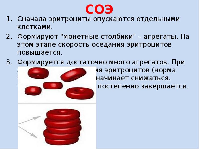 Скорость оседания эритроцитов это. Монетные столбики эритроцитов. Монетные столбики эритроцитов причины. Агрегация эритроцитов в виде монетных столбиков –это:. Монетные столбики - слипшиеся эритроциты.