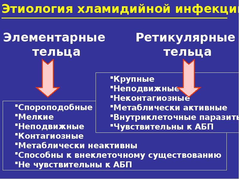 Иппп презентация по дерматовенерологии