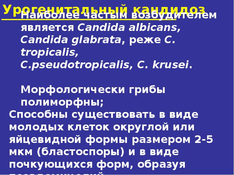 Иппп презентация по дерматовенерологии