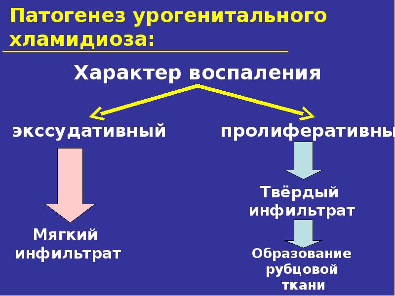 Иппп презентация по дерматовенерологии