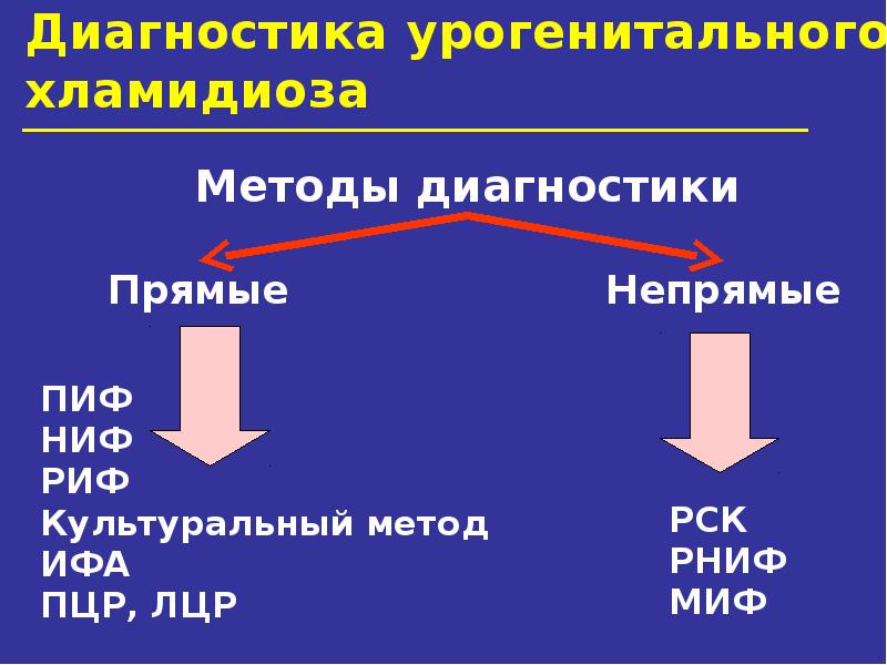 Иппп презентация по дерматовенерологии