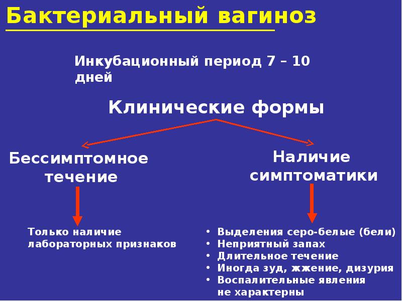 Иппп презентация по дерматовенерологии