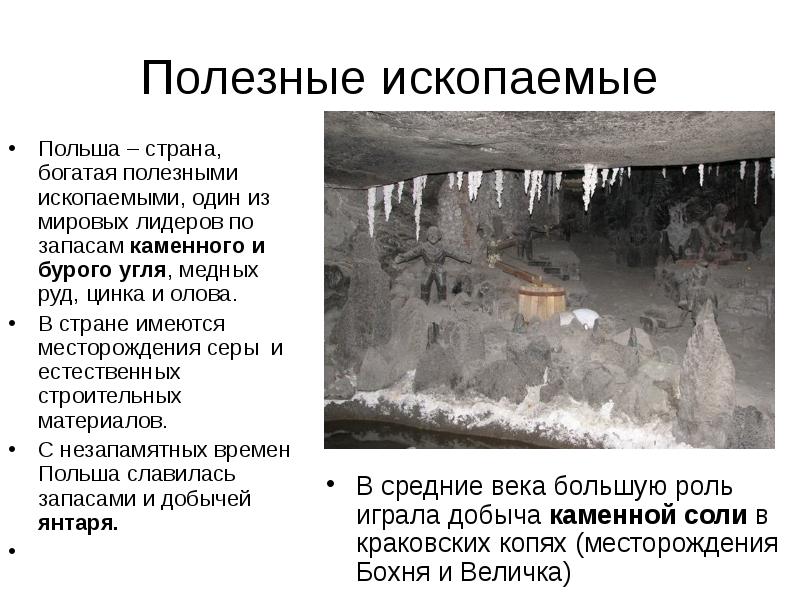 Полезные ископаемые
Польша – страна, богатая полезными ископаемыми, один из мировых Полезные ископаемые
Польша – страна, богатая полезными ископаемыми, один из мировых