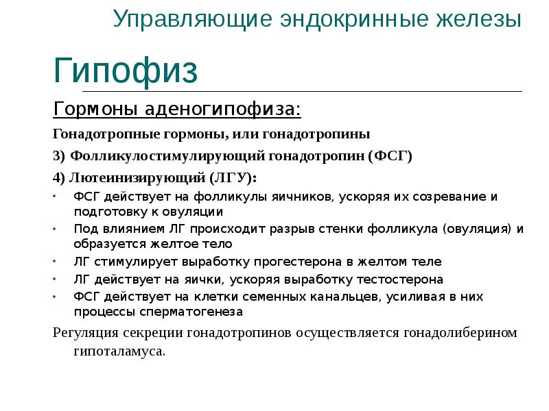 Гонадотропный гормон вырабатывается в. Гонадотропные гормоны аденогипофиза. Гонадотропные гормоны железы. Эндокринные железы. Ингибиторы секреции гонадотропных гормонов гипофиза.