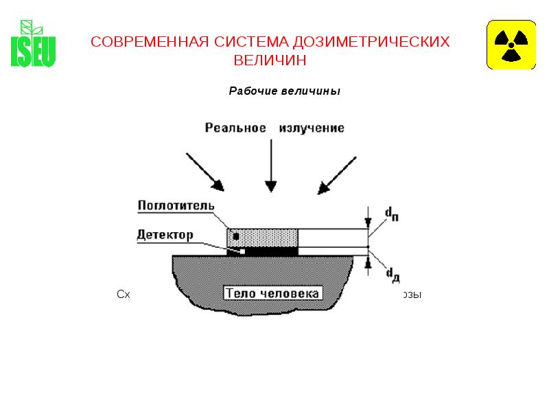 Дозиметрическая карта это