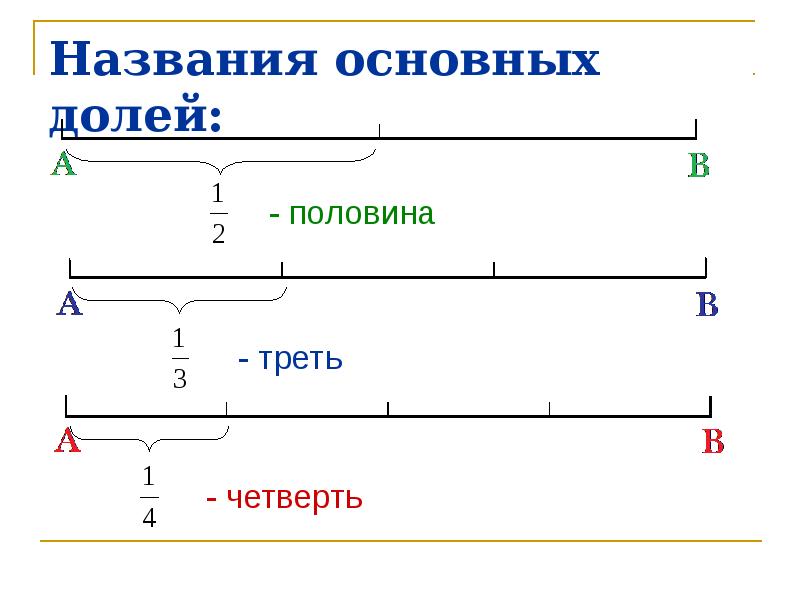 Половина названия. Половина. Как показать на отрезке долю половина, треть, четверть. Половина название. Как называется половина профиля.