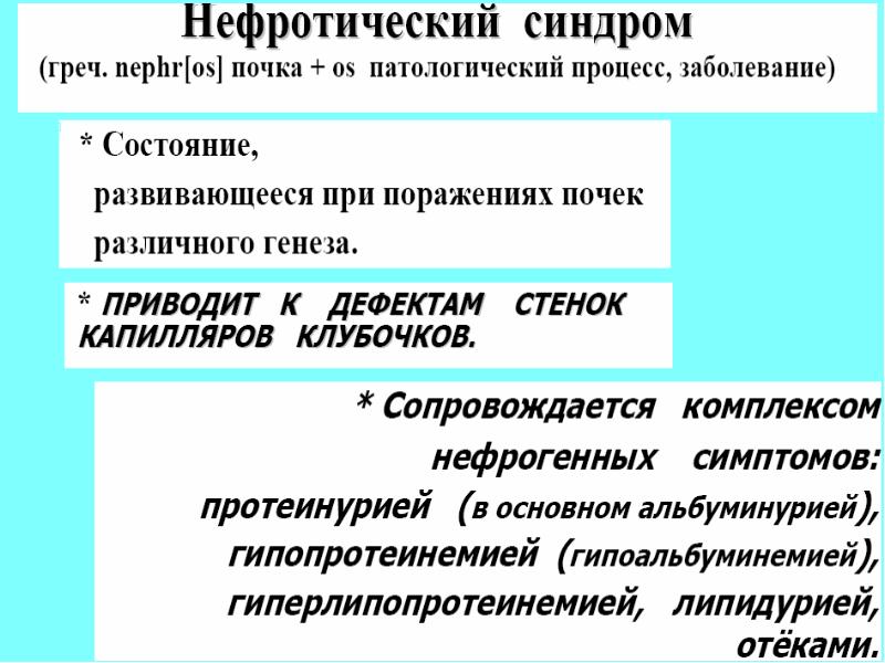 Патофизиология почек презентация. Причины гипопротеинемии при нефротическом синдроме тест.