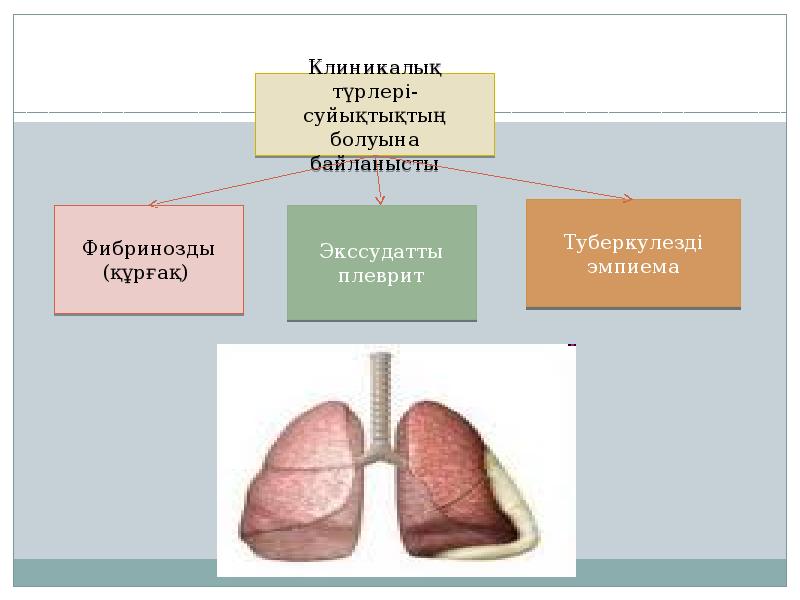 Питание при плеврите легкого картинки