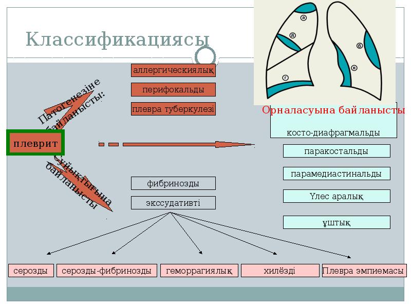 Плевра эмпиемасы презентация казакша