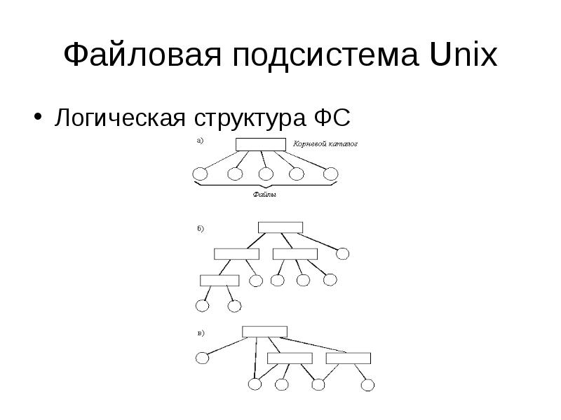 Логическая структура файловой системы