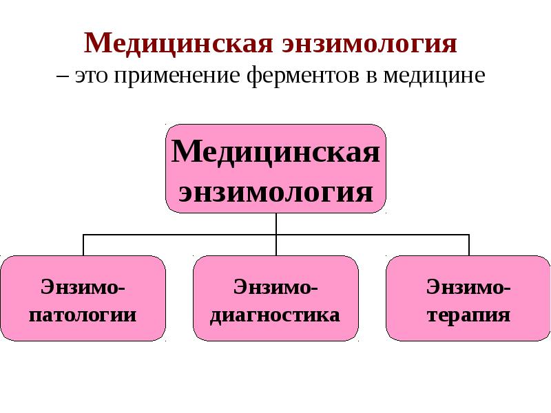 Инженерная энзимология презентация