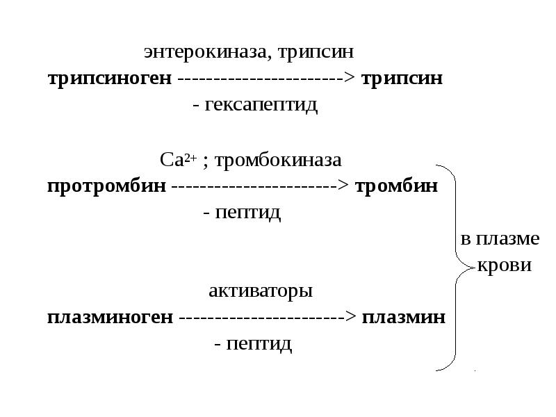 Трипсин это фермент