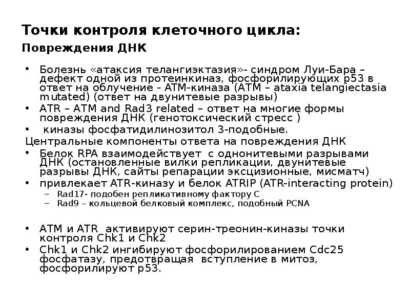 Периоды клетки. Белок атм. Ответ повреждения ДНК р53 белок.