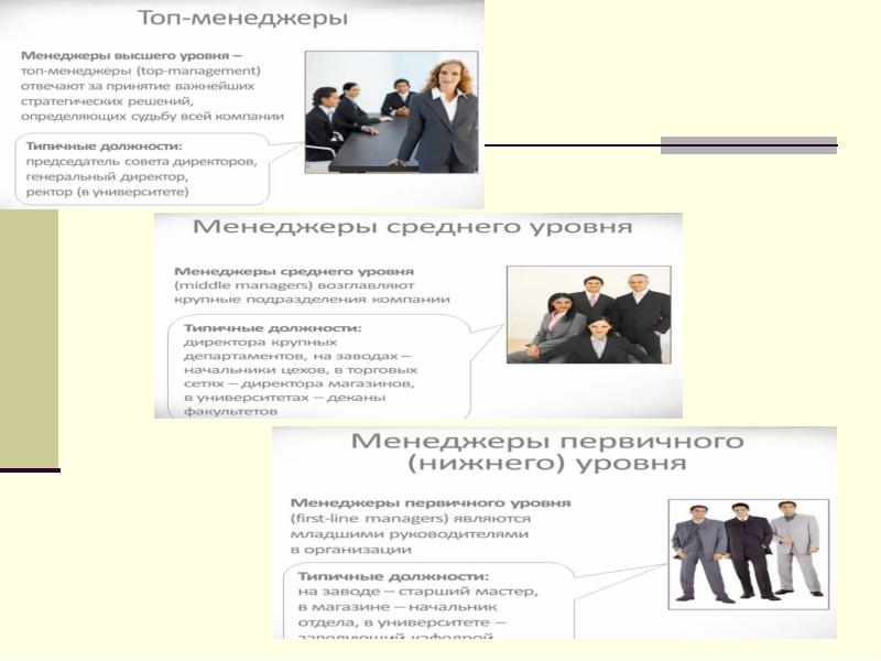 Пример совместной организации. Менеджмент мое представление. Интересные факты о менеджменте.