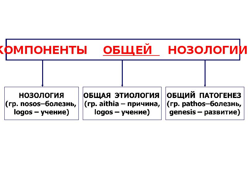 Основные нозологии