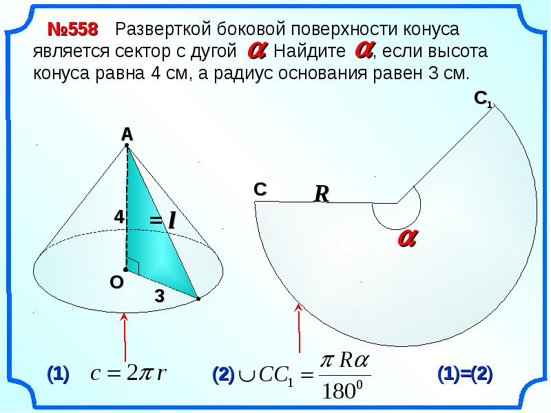 Самостоятельная конус 11 класс