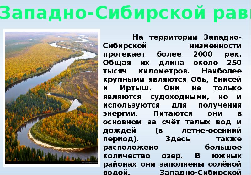 Какие особенности природы сибири зависят от обширности. Районы Западно сибирской равнины. Западно Сибирская равнина доклад. Информация о Западно сибирской равнине. Сообщение о Западно сибирской равнине.