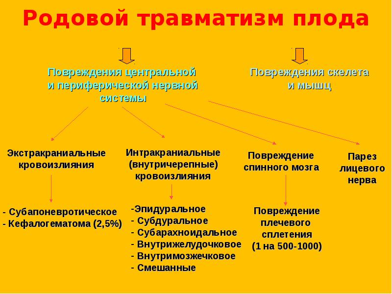 Материнский травматизм презентация