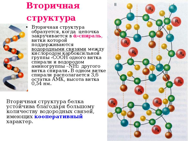 Водородные связи вторичная структура