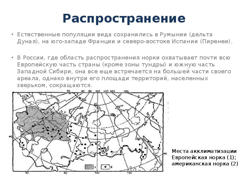 Область распространения политики