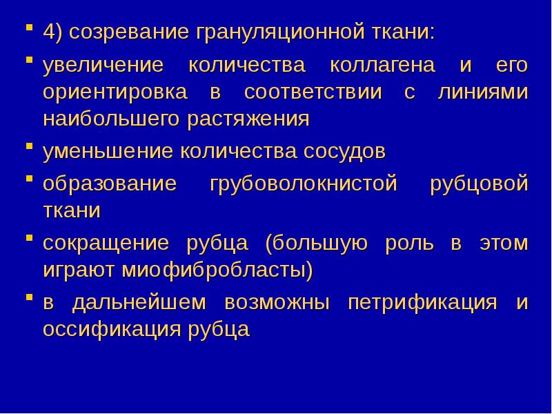 Грануляционная ткань. Образование грануляционной ткани. Этапы образования грануляционной ткани. Созревание грануляционной ткани. Стадии образования грануляционной ткани.