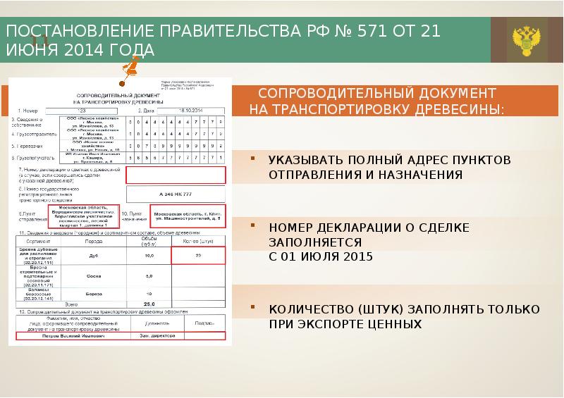 Сопроводительный документ компании