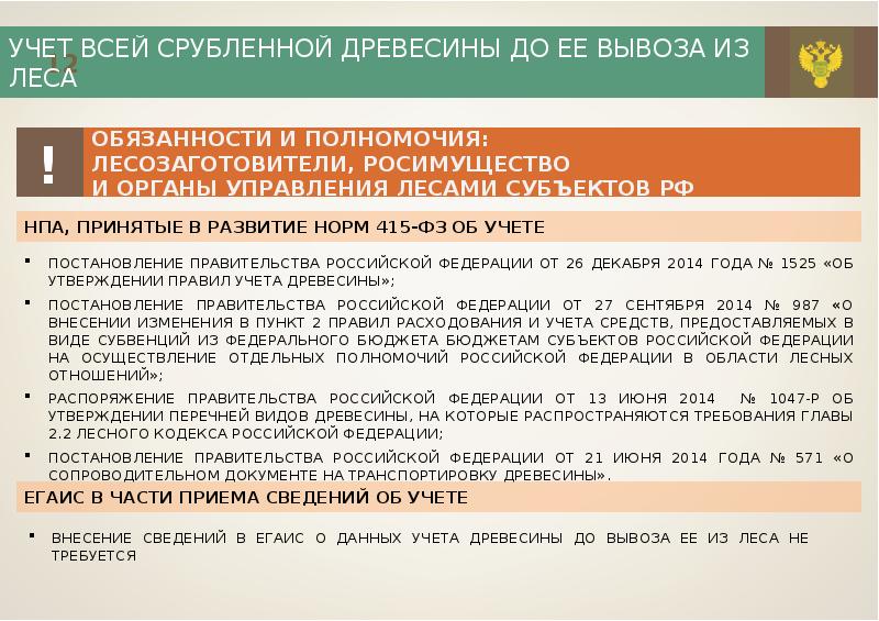 Учет древесины и сделок с ней. Документы учета древесины. Документы на пиломатериалы. Учет пиломатериалов. Образец учеты древесины.