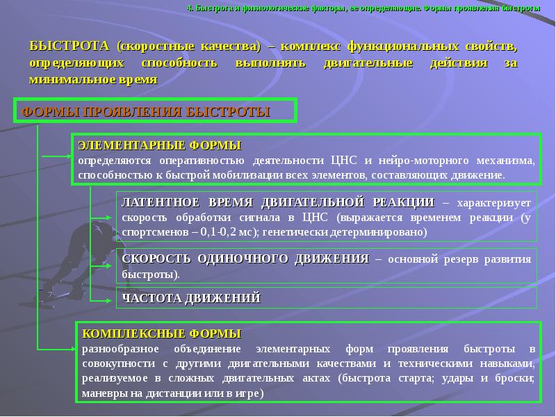 Двигательные качества презентация