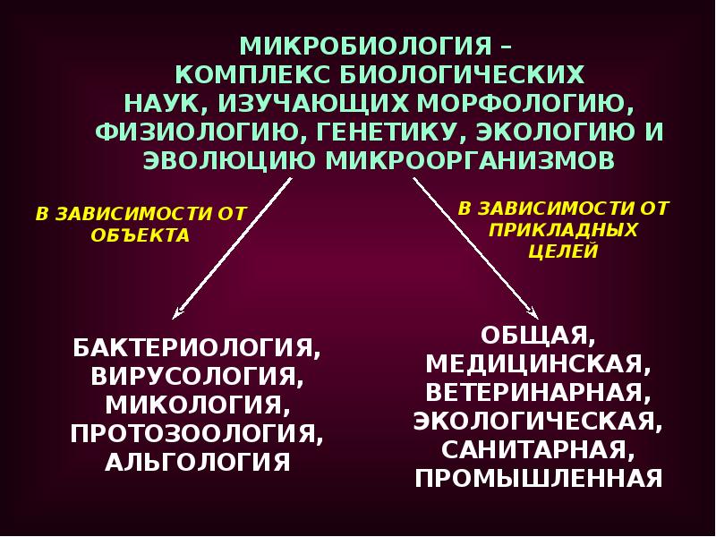 Лекции по микробиологии презентации