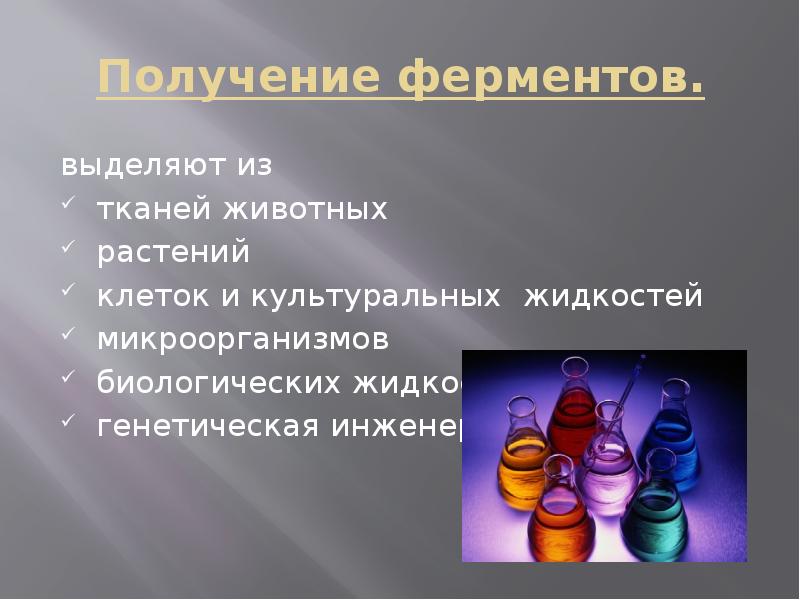 Проект ферменты 10 класс