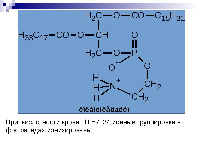 Фосфатидилхолин формула. Омыляемые липиды. Опишите строение l-фосфатидовых кислот.. Амфифильные липиды.