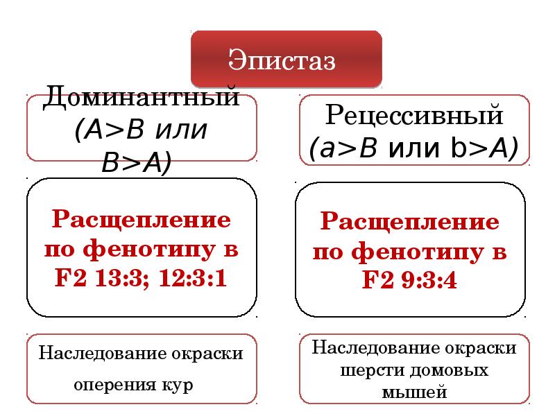 Расщепление 4 3 1