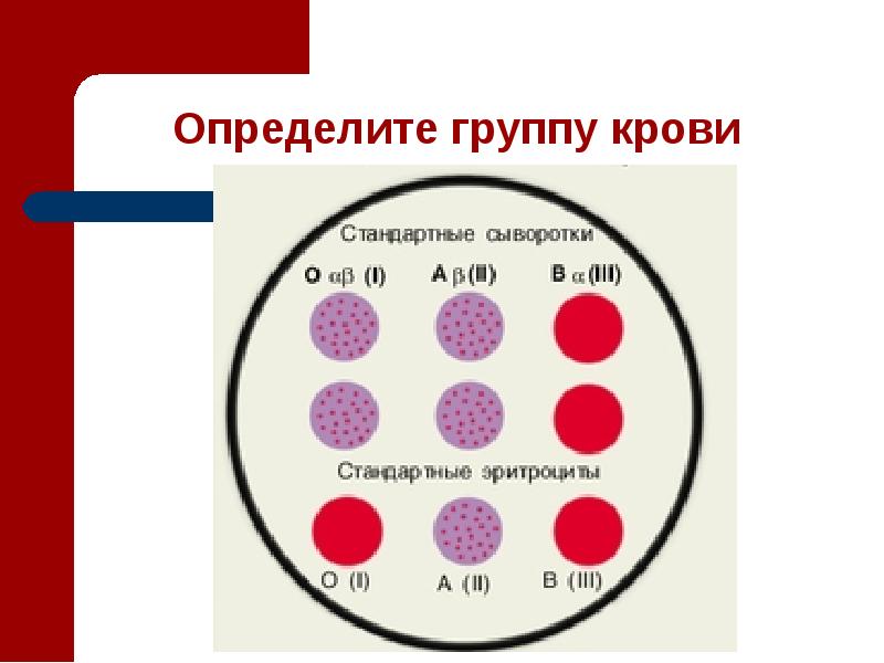 Группы крови и резус фактор презентация