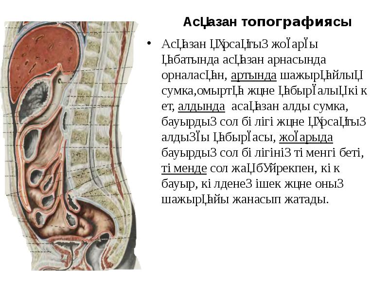 Асқазанның ойық жарасы презентация