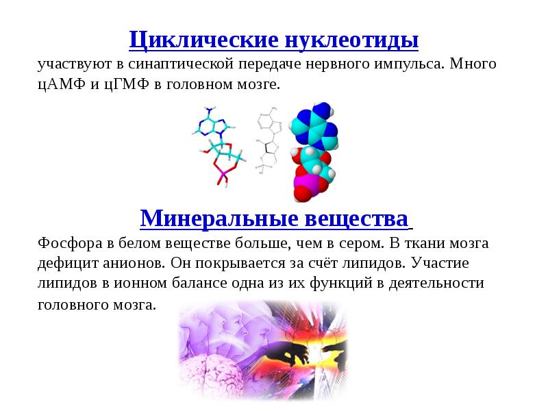 Биохимия нервной ткани презентация