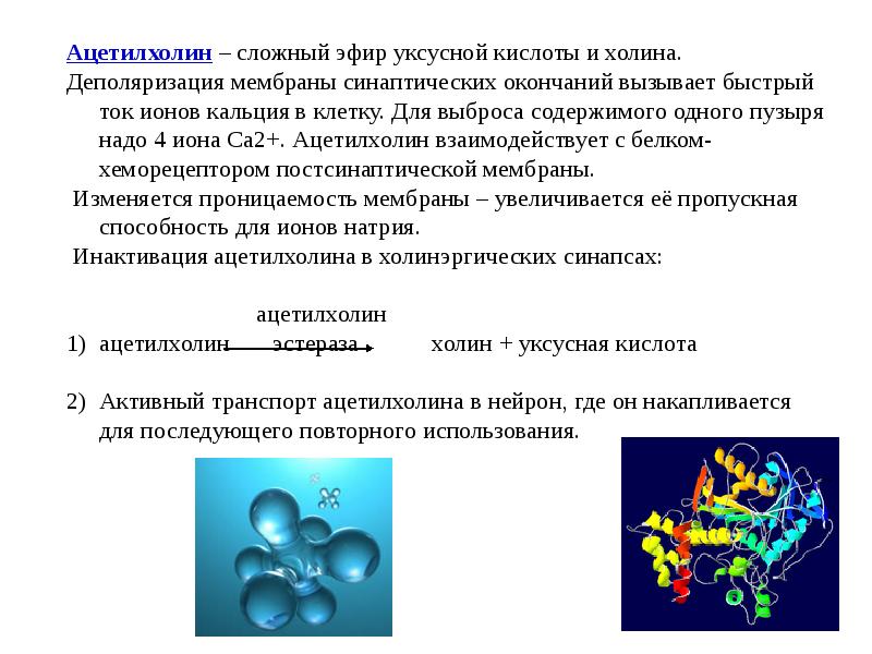 Кальций биохимия презентация