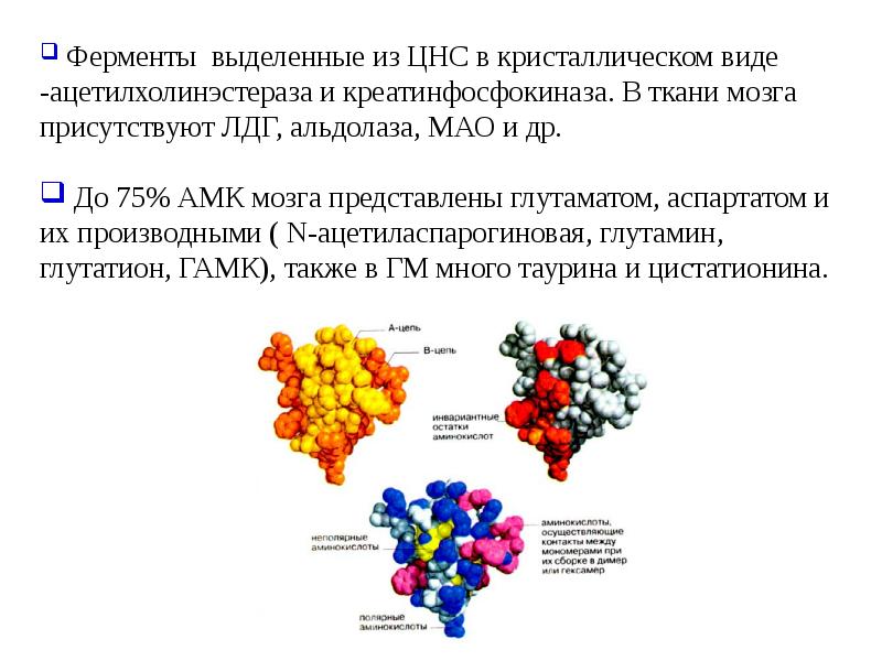 Биохимия памяти презентация