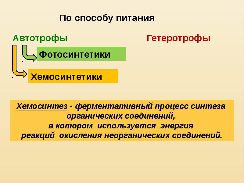 Хемосинтез и фотосинтез сравнение таблица