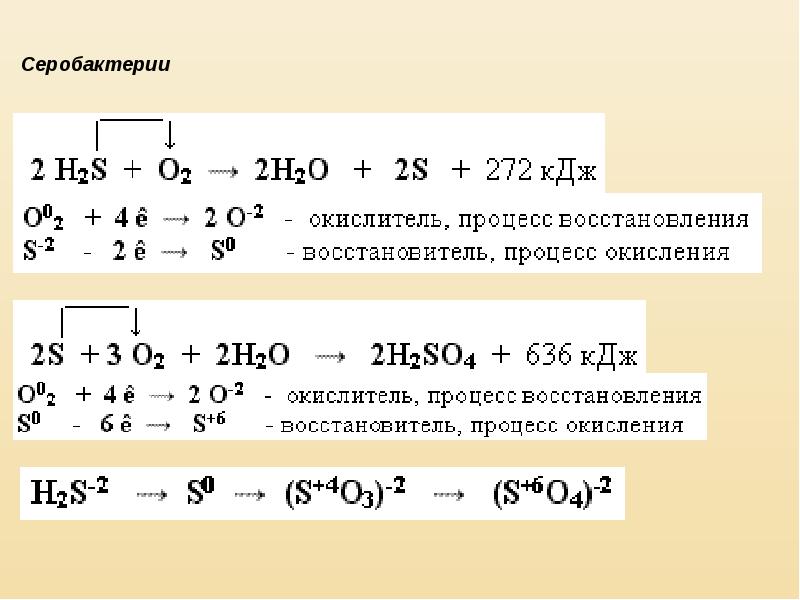 Фотосинтез и хемосинтез 10 класс презентация