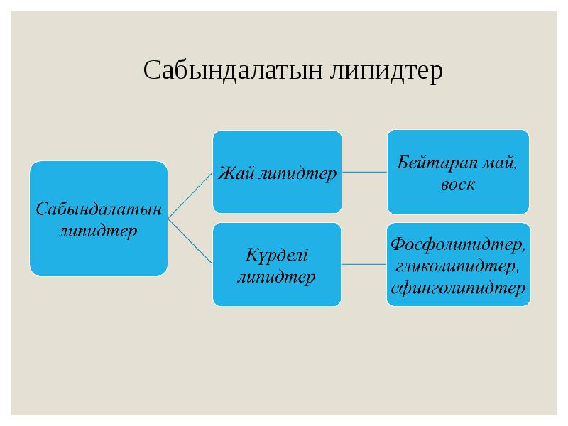 Липидтер алмасуы презентация