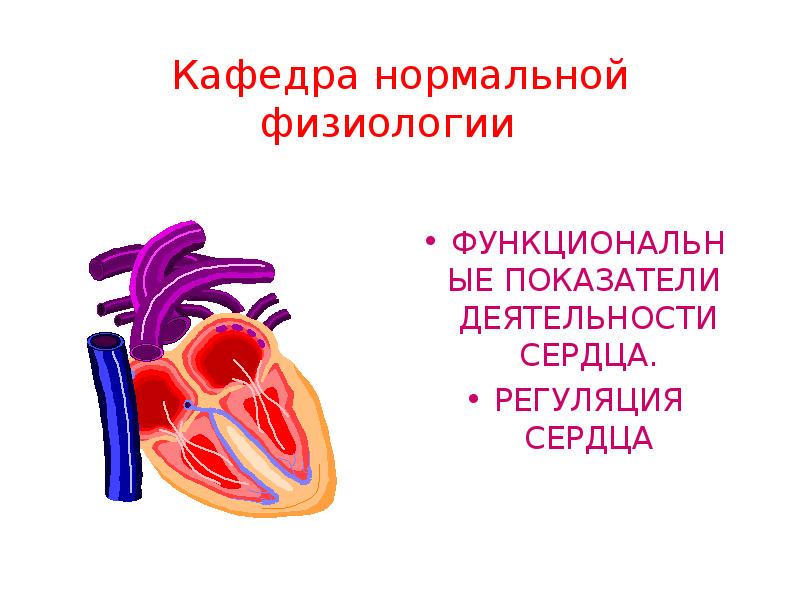 Проект работа сердца