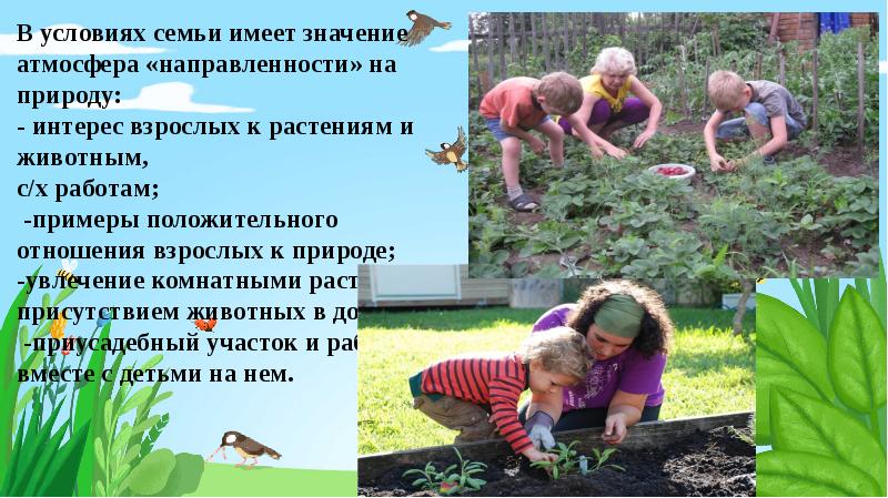 Отношение человека к природе картинки