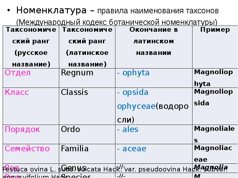 Правила номенклатуры