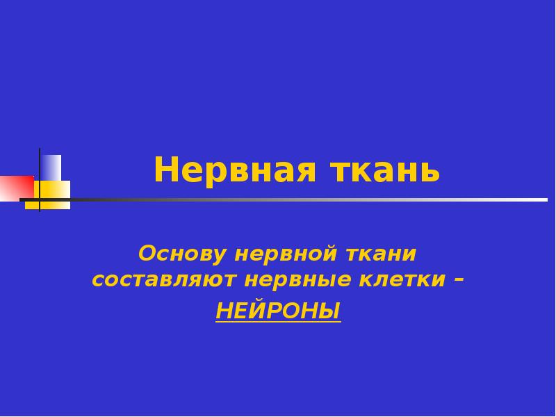 Основу нервной