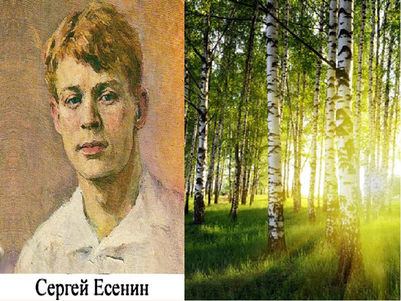 Природа и есенин картинки