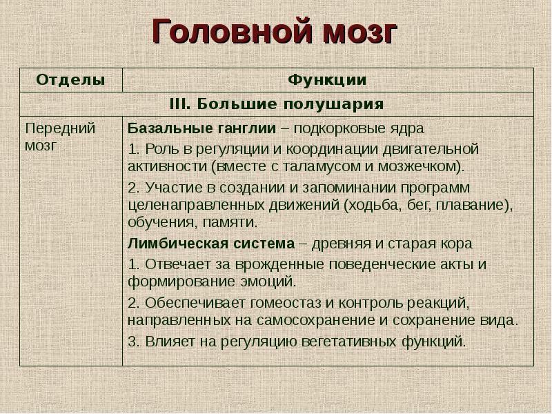 Отделы кожи и их функции. Отделы кожи и их функции