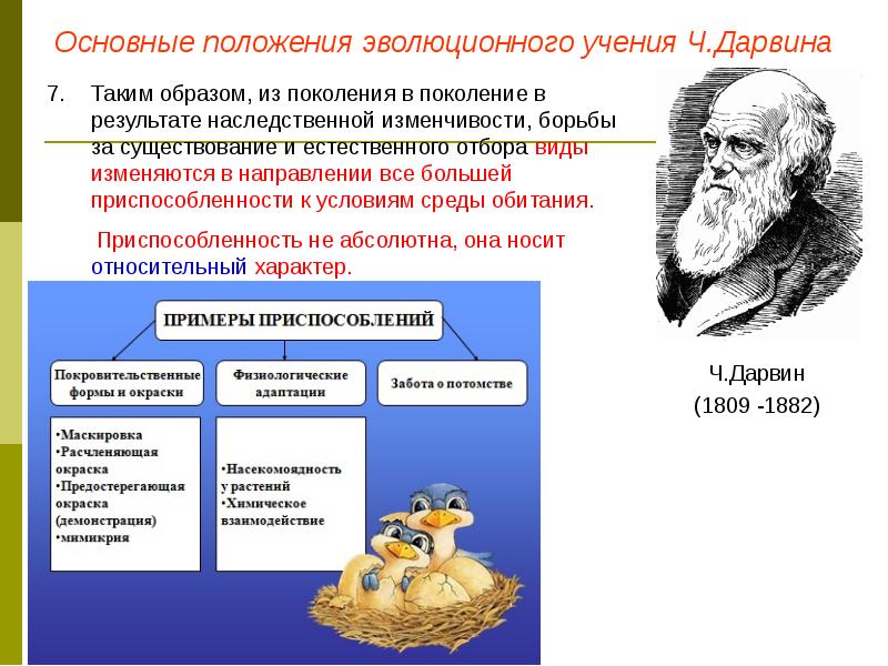 Презентация эволюционная теория дарвина 9 класс презентация