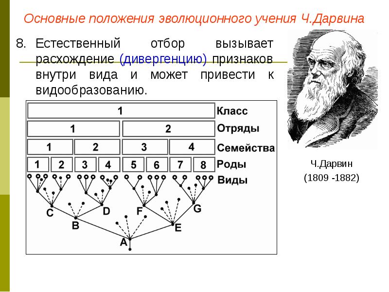 Презентация эволюционное учение 9 класс биология