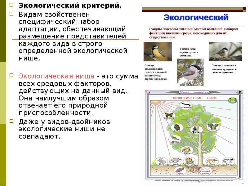 Экологические признаки. Экологический критерий вида примеры. Этологические критерии вида. Примеры этологического критерия вида. Экологический вид биология.